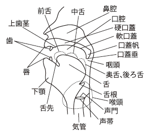 chart13.gif